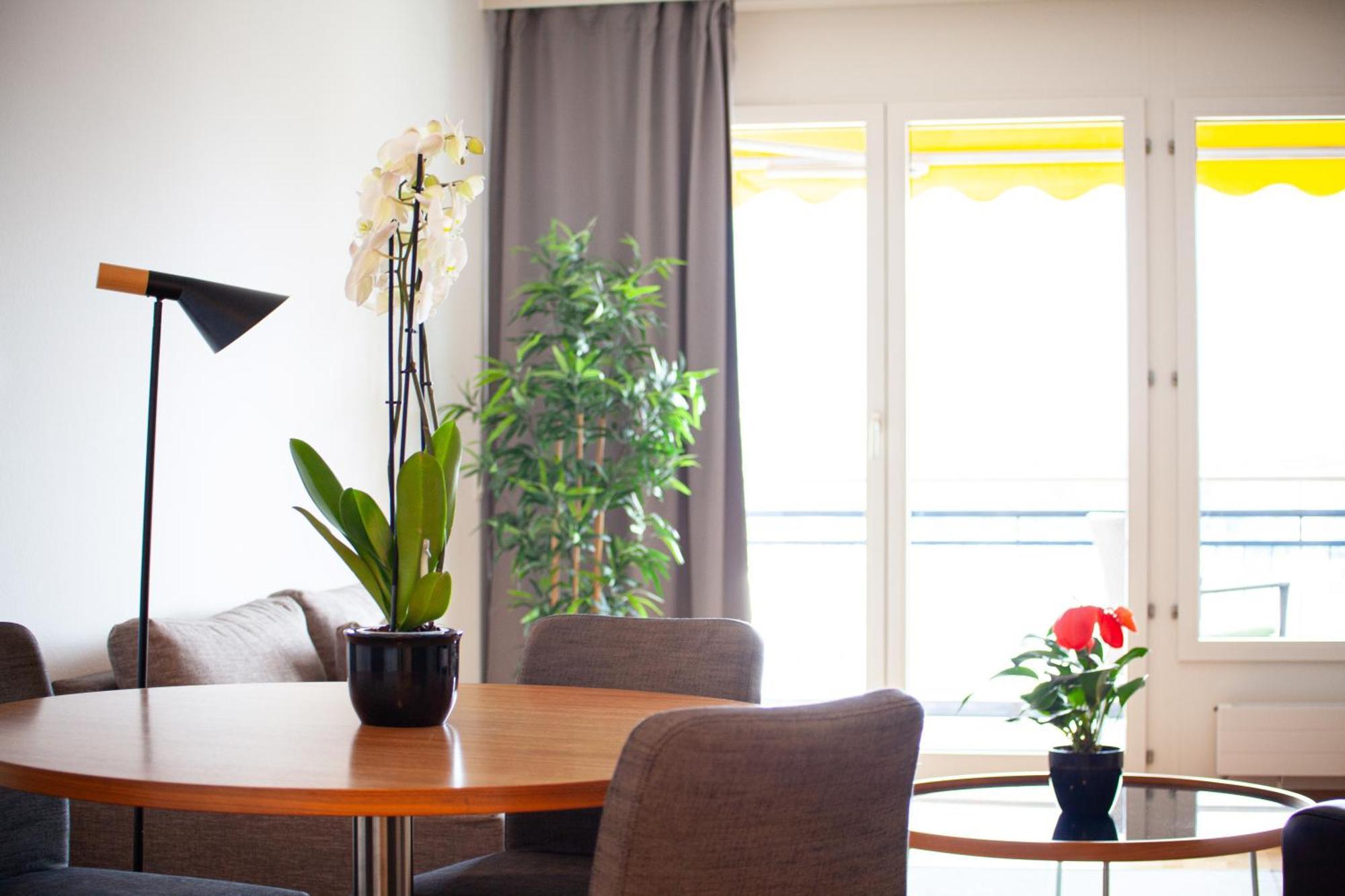 Tertianum Residenza Al Parco Appartements & Restaurant Muralto Eksteriør bilde